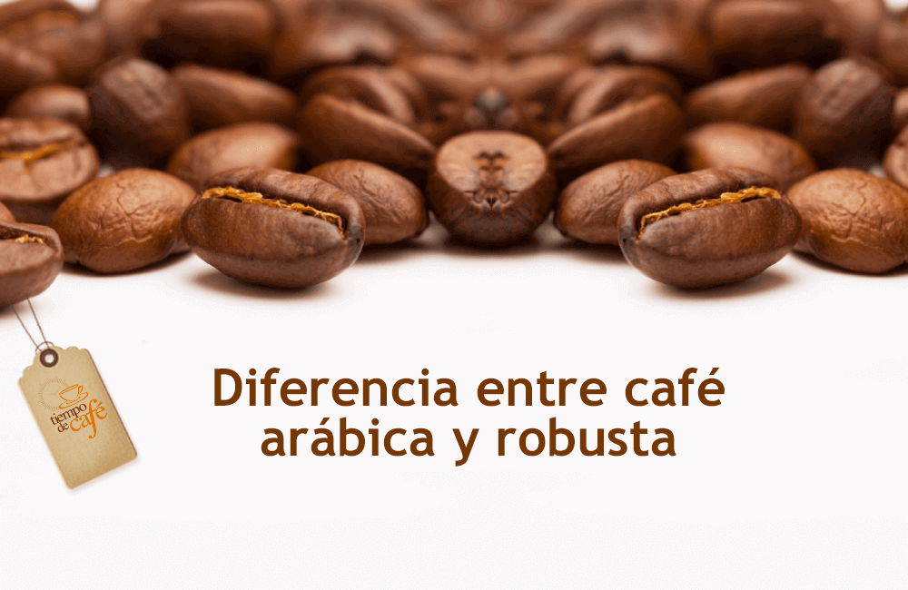 Café arábica y robusta. Rasgos comunes y diferencias. ¿Cuál te gusta más? -  De Rechupete