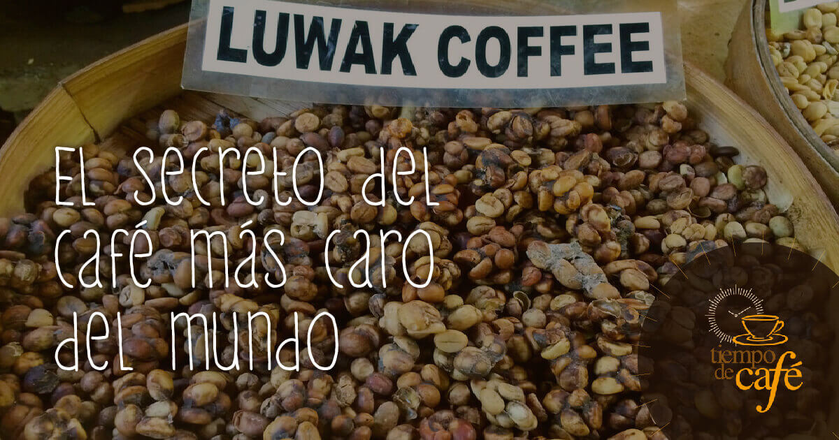 Los secretos del café más caro del mundo