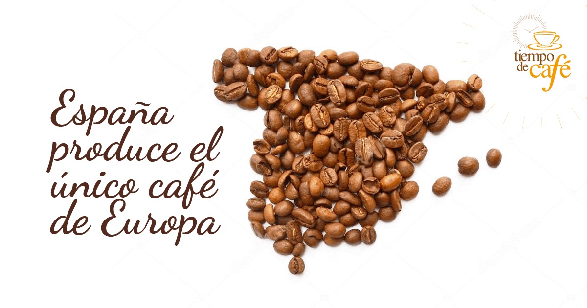 España produce el único café de Europa
