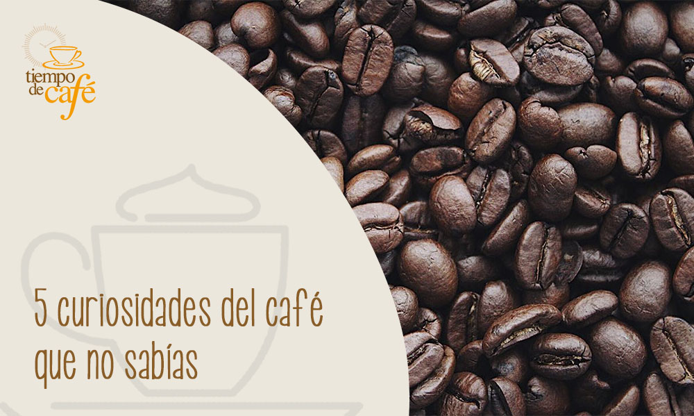 5 curiosidades del café que no sabías