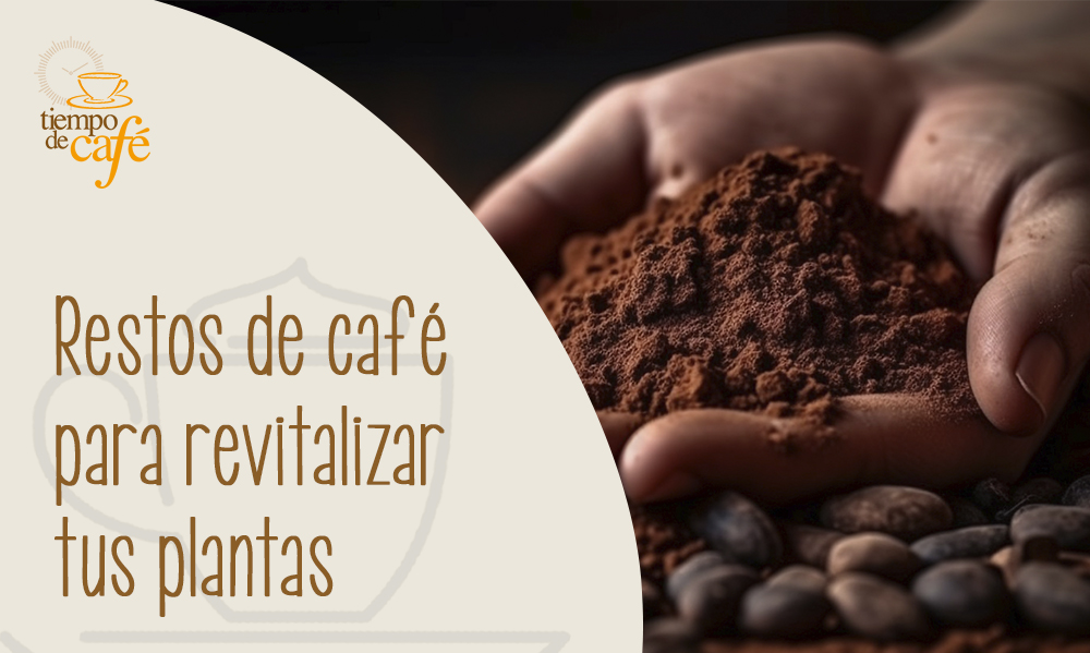 Restos de café para revitalizar tus plantas