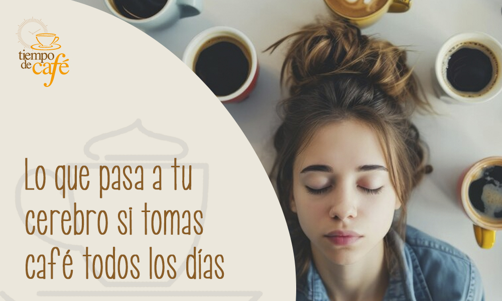 lo que pasa a tu cerebro si tomas café todos los días