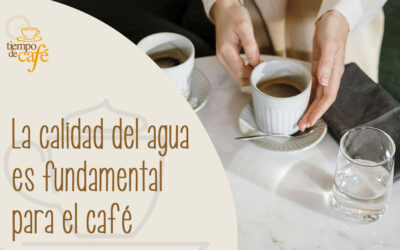 La calidad del agua es fundamental para el café